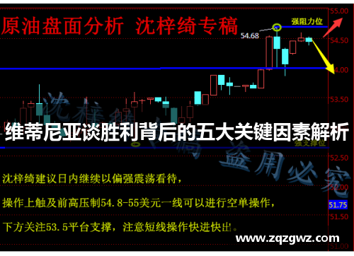 维蒂尼亚谈胜利背后的五大关键因素解析